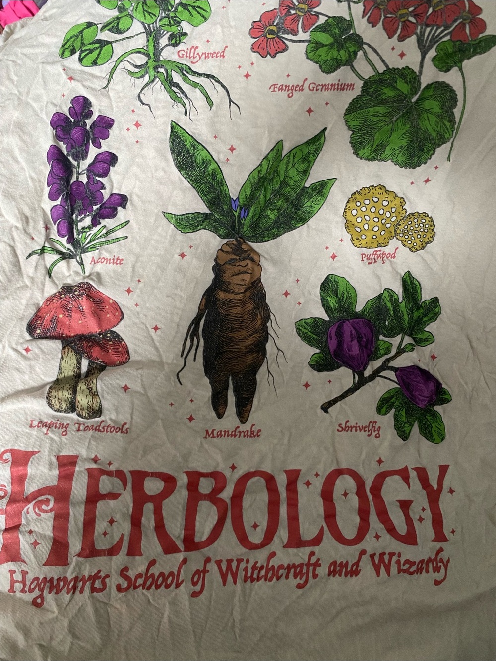 Warner Bros. Herbology Botanical Short Sleeve Tee in Cream, Green & Purple